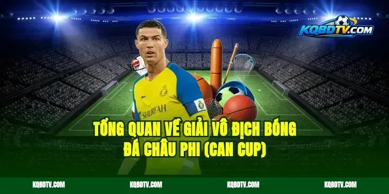 Tổng quan về giải vô địch bóng đá châu Phi (CAN Cup)
